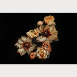 Founders Collection - 1