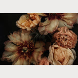 Founders Collection - 2