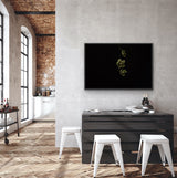 Founders Collection - 6