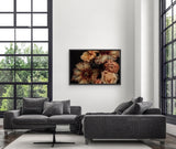 Founders Collection - 2