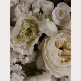 Love Letter No. 4 large format, premium floral print for living room, limited edition, Teolai Design x Floralista