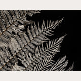 Nordic Simplicity - 1