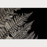 Nordic Simplicity - 1