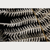 Nordic Simplicity - 2