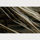 Nordic Simplicity - 5