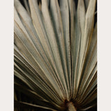 Nordic Simplicity - 6