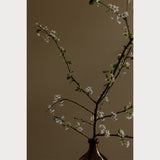 Branches and Blossoms No. 4, full bloom cherry blossom photography print, warm coffee background, Teolai Design x Floralista, Hahnemuhle Photo Rag