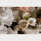 Love Letter No. 3, large fine art floral photography print, cream and soft blush spring florals, Teolai Design x Floralista