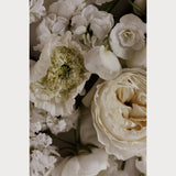 Love Letter No. 4, fine art floral photography print, spring blooms in cream and peach, Teolai Design x Floralista, Hahnemuhle Photo Rag