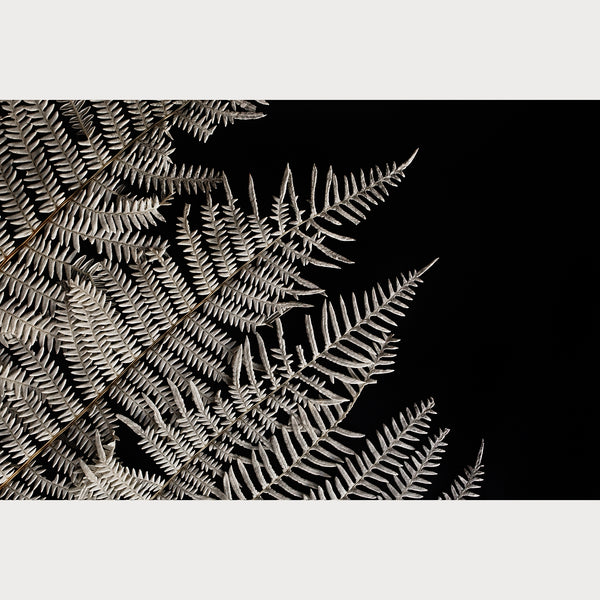 Nordic-Simplicity-1-web-